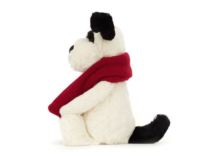 Bashful Winter Puppy
